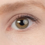 Does the Shape of Your Catchlight Matter?