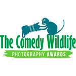 Nikon Comedy Wildlife Awards 2026 finalists announced Nikon Comedy Wildlife Awards 2026 finalists announced