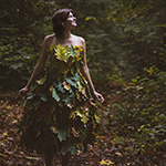 Photograph autumn, now is the time