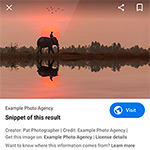 Google is adding licensing information to Google Images