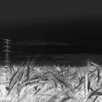 Black and white photography tip: Otherworldly effect with an infrared filter