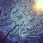 Collected tips for snow photography