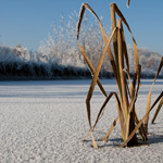 7 tips for snow photos