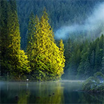 7 Tips for Landscape Photography