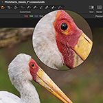 7 useful tips for Capture One Pro