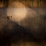 The Magic of Photography with Multiple Exposures