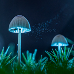 12 tips for atmospheric autumn photography