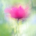 Do you need your own style as a photographer?