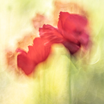 Playing with blur