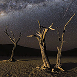This Is How Beautiful the Night Is in Namibia