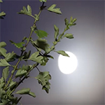 How to photograph the moon
