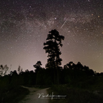 Falling stars (Lyrids), photographic contributions