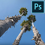 'Color Adaptation' gebruiken om Content-Aware Fill te verbeteren