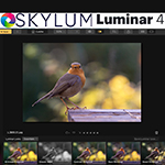 Review: Luminar 4 Golden Master version