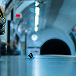 Photo of fighting mice wins Wildlife Photographer of the Year 2019