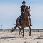 Trotting to (and across) the beach Trotting to (and across) the beach
