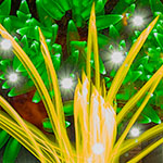 What came of my New Year's resolution?