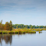 The added value of a good foreground