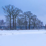 A few tips for photographing in the snow