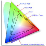 Which Colour Profile Should You Use for Your Photos?