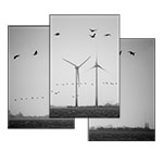 Putting together a triptych