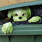 Creative photography of everyday things by Helga Stentzel
