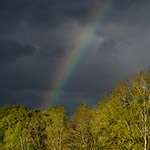 The story behind the photo: Albert van Heugten's rainbow