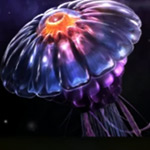There is a major update for Affinity Photo