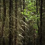 Inspiration for the landscape with harsh light