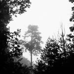 Landscape photography with a boring sky