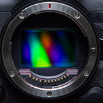 New Canon firmware for the EOS R3 and EOS R5