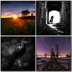 5 Tips to Improve Your Photography in the New Year