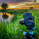 The (Un)importance of High Dynamic Range in Landscape Photography