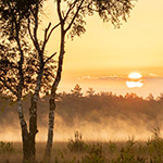 The three directions of light