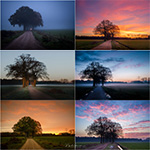 Try making a photo series instead of a single photo