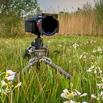 Landscape photography tip: Be careful with wide-angle lenses and polarising filters