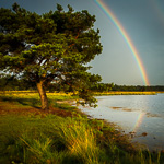 The story behind the photo: a rainbow