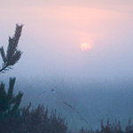 Landscape photography tip: don't fixate on your subject