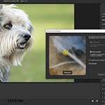 The new Lightroom update now offers super-resolution