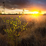 Composing a foreground - part 2