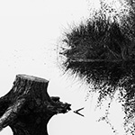 Grey weather? Turn it into a black-and-white photo