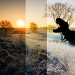What should your photo look like?