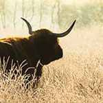 Prefer High Contrast in Your Nature Photos