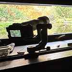 A day photographing from a photography hide