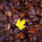Minimalism and negative space in your photo