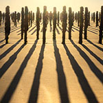 Shadows are more important to your photo than you think. Often essential. Shadows are more important to your photo than you think. Often essential.