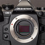 The new OM-Systems OM-1 Mark II and the 150-600mm super-telephoto zoom