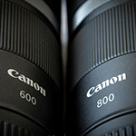 Review of the Canon RF 600 and RF 800 Telephoto Lenses