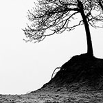 Dull grey weather? Adapt your photography to the conditions