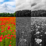 Pressing the black and white conversion button is never enough